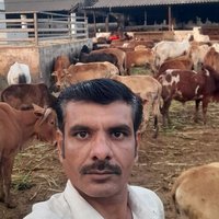 Champa lal Solanki (@champal48188269) 's Twitter Profile