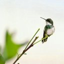 Vernon Barnes - @VernonBarn97563 - Twitter