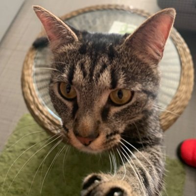 87Maz's profile picture. 