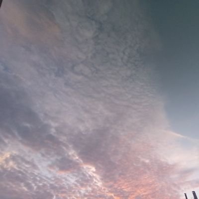 ccc1465020's profile picture. 没什么写的