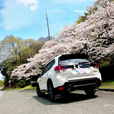 forester_R728_K's profile picture. 新しいことに挑戦したいお年頃 車歴-RB1オデ→CKV36クーペ(6MT)→SK5 車種問わずいろんな車が好きです😊
