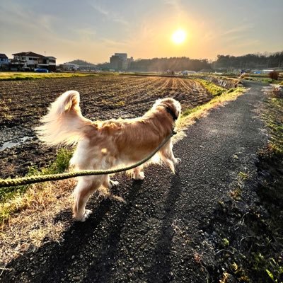 大阪府茨木市で訪問看護ステーションをやっています。新生児からターミナルまで幅広く訪問させて頂いております。 支援やケアなどでお困りの方、いつでもお気軽にお声掛けください！