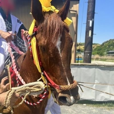 超超過激人間😈
#動物虐待見せ物ショー上げ馬‼️
#animalkillerTADO👎
#動物虐待は犯罪である‼️
#上げ馬の暴力虐待を許すな‼️
#三重県無形文化財から上げ馬削除へ‼️#2024ついに多度大社にて暴力が馬から女性と子供へ😱 #NHK名古屋へ移動した記者がその後の記事を書けない事情⁉👅