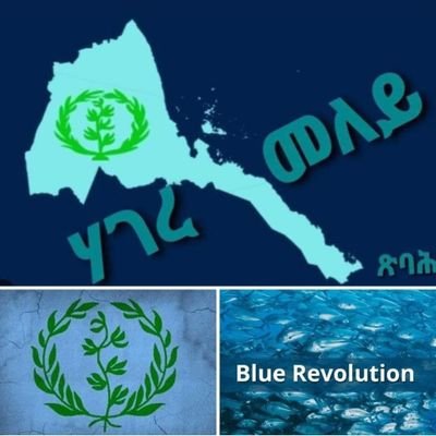 Blue Revolution.
Regime change in Eritrea.