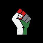 From the river to the sea, Palestine will be free! Views my own.