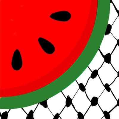 Watermelon Relief: A group of activists in Gaza. Aiding displaced families with meals, support, and activities. Making a difference in times of need.