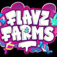 FlavzFarms 🇬🇧 🍁🍭(@flavzfarmuk) 's Twitter Profile Photo