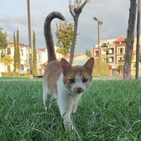 Dostunuz 😊 (erkek hesabı) (@gemlikli_j) 's Twitter Profile