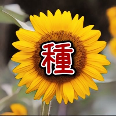 MzR9zusFoO93714's profile picture. 株式投資始めて4年。 インデックス投資と高配当株投資を実践中。