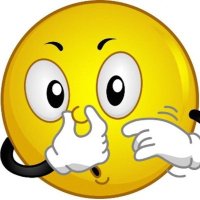 ކުނި މާލެ (@kunimalecity) 's Twitter Profile