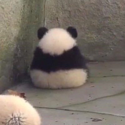 ˚◡̈ ผ่แวพะแรนด้า🐼･ ༘꙳さんのプロフィール画像