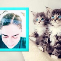 NUR SEDA TALYA NAZLI😺 (@nursedareal) 's Twitter Profile Photo NUR SEDA TALYA NAZLI😺 (@nursedareal) 's Twitter Profile Photo