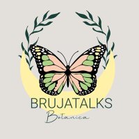 BrujaTalks Botánica ®✨🦋 (@brujatalksbotan) 's Twitter Profile Photo BrujaTalks Botánica ®✨🦋 (@brujatalksbotan) 's Twitter Profile Photo
