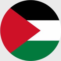 #freepalestine 🇲🇻🇵🇸 (@ahmedasfam) Twitter profile photo