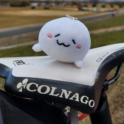 大阪*矯正医🦷スポーツデンティスト│トライアスロン│2024IRONMAN みなみ北海道 完走🎊│ロードバイク🚴♀️│エレクトーン🎹│ロードバイクとあざらしさん( ´ω`っ)3 2025はマスターズ水泳に参戦🏊♀️