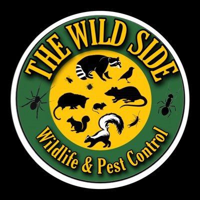 Humane Wild Life Removal & Pest Control Services