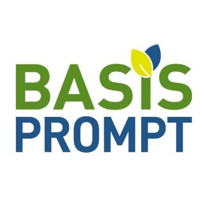 BASIS_PROMPT Profile Picture