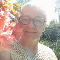 Tiina Bragge (@tbragge31109) Twitter profile photo