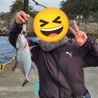 Mayu𓆝 (@rcinderace) 's Twitter Profile