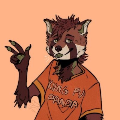 He/Him | 23 | Red panda | IT Support | May play some Rhythm games | hope you have good time while trying to pronounce my nickname