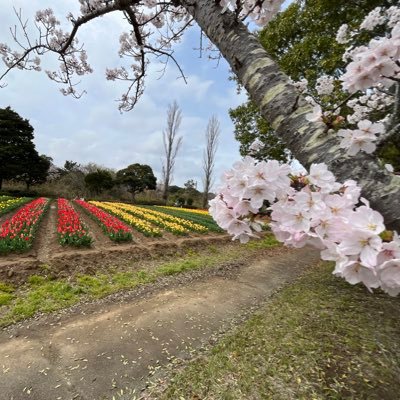 仕事は映像制作してます！撮影、編集は日常です✨もちろん、時には写真のカメラマンも😆