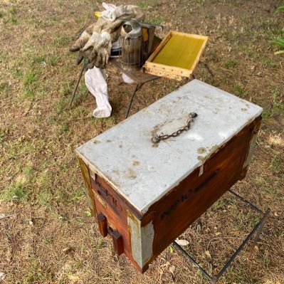 AngusHudson1's profile picture. Beekeeper, Runner.