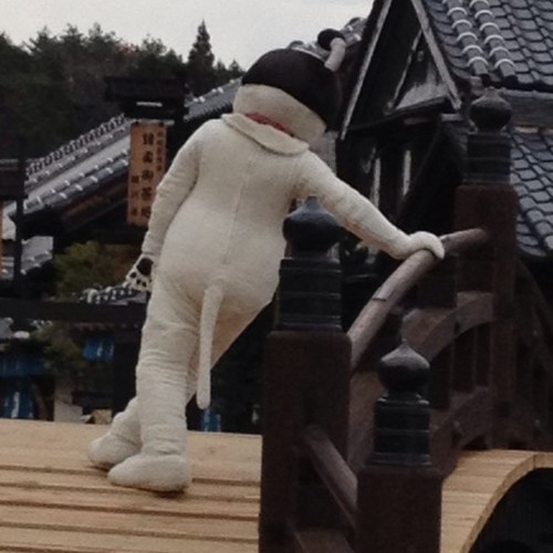 8823Hal's profile picture. 家族にフォロワー100を目指しなさいと言われました。