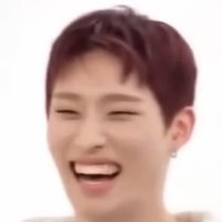 ももに (@p1harmonmo) 's Twitter Profile