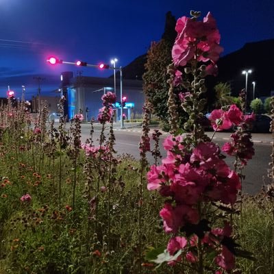 Ahmad_ma_93's profile picture. أفلح من قال لا إله إلا الله خالصا من قلبه.
.
.
.
.
.
.
.
.

حسابي في الإنستقرام: ahmad_mohammed_93