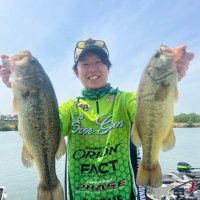 ひらしまりょう (@eg_rashima) Twitter profile photo