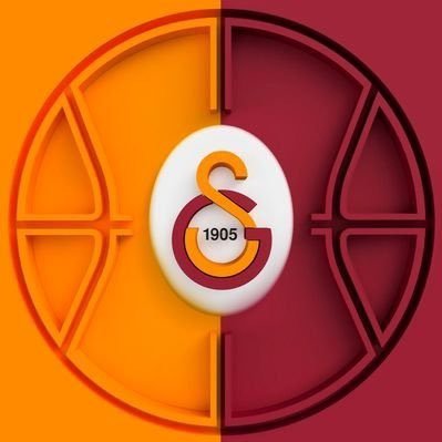 Galatasaray Profesyonel Branşlar