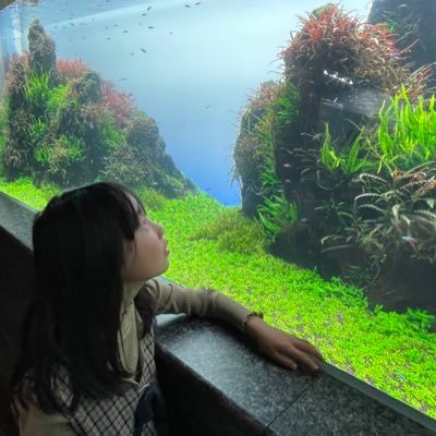 ひなき🐠 on X: ひなき🐠 on X: