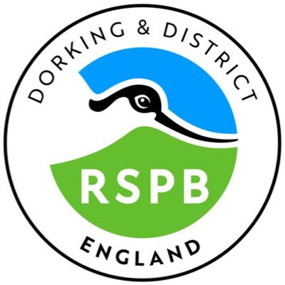 Friendly local RSPB group for Dorking and surrounding areas which runs regular walks and meetings