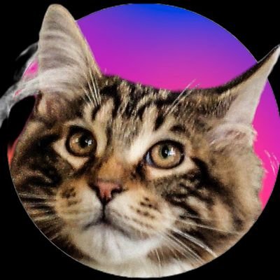 まー君♂(メインクーン) 2015.1.20/アイト♂(メインクーン)2017.12.10/カイト♂(メインクーン×ノルウェージャンMIX)2016.6.16~2022.12.1🌈
猫/天体撮影/写真/オカルト/地震雲/美味しい物/家庭菜園/面白い事/在宅勤務/道北民です/旭川ラーメン大好き