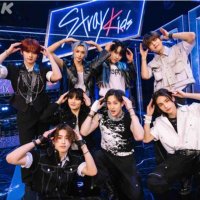 🥟スキズ&セブチ【応援】 (@seventeen17p) 's Twitter Profile Photo 🥟スキズ&セブチ【応援】 (@seventeen17p) 's Twitter Profile Photo