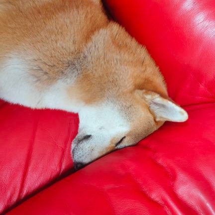 NBJ96116101's profile picture. 我會不斷的前進的,因為只有這樣
我才能與走上分歧之路的妳,並肩同行
或許未來的某一天,還能再與妳相遇🐣