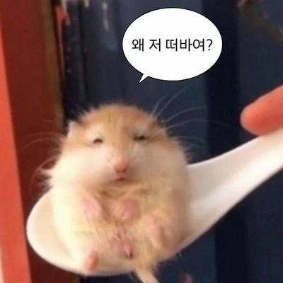 🕯Lü셸:)🕯さんのプロフィール画像