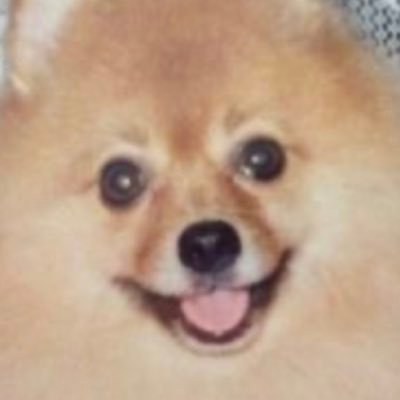 nkh422's profile picture. ドラマ映画鑑賞✨常に穏やかですが愚痴を発します✨おばさんです    沢山いいねを押します✨お許しを