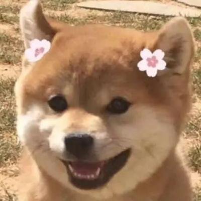 deteatet80055's profile picture. Dream big, work hard, and make it happen.