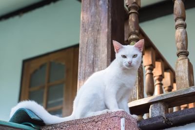 7TWcTFtLi8AcKT9's profile picture. もうすぐ40歳
趣味は漫画、アニメ、洋画が好きですね。