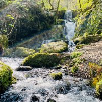 Canonteign Falls(@CanonteignFall) 's Twitter Profile Photo