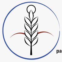 CEVyM (@cevym1) 's Twitter Profile Photo