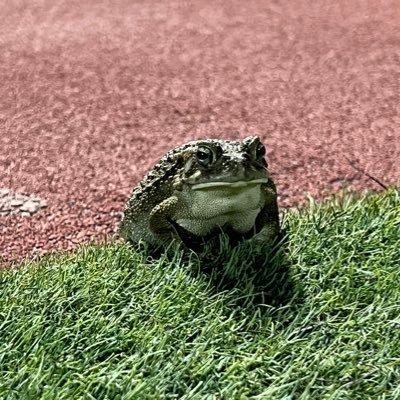 _abdelrhman_3's profile picture. اللهم ارحم أبي