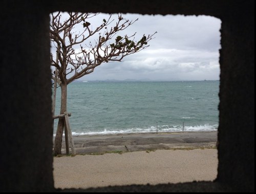 mo1126's profile picture. 