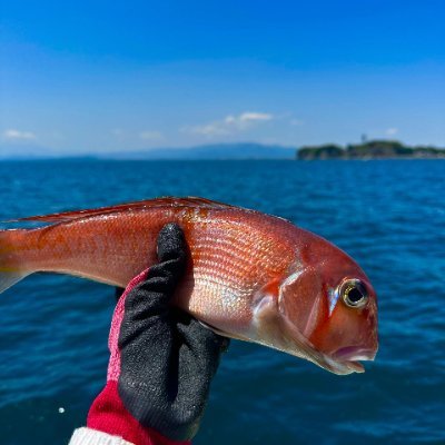 釣り初心者🔰 
自由気ままに好きな物を
東京❤️
釣り女子❤️海鮮❤️食べること飲むこと遊ぶこと大好き❤️
同じ趣味の人と友達になりたい🫶
私は日本語を勉強しています。よろしくお願いします🙇‍♀️
#釣り#釣り好きとつながりたい#撮影