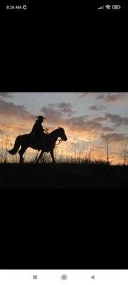 🇨🇱 Rodríguista,gañan de la patria,fogoso patriota, proleta,no estoy solo,somos miles (Armando Uribe)recuperar la esencia robada por la dictadura y tibios.