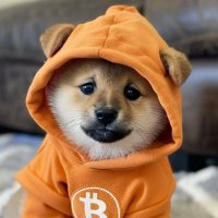 david min (@davidmi46171645) 's Twitter Profile