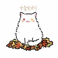 가을빛냥이(@AutumnLight_Cat) 's Twitter Profile Photo