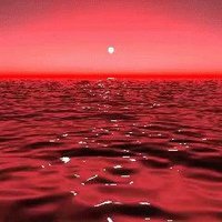 Ali (@ali048752360421) 's Twitter Profile Photo Ali (@ali048752360421) 's Twitter Profile Photo