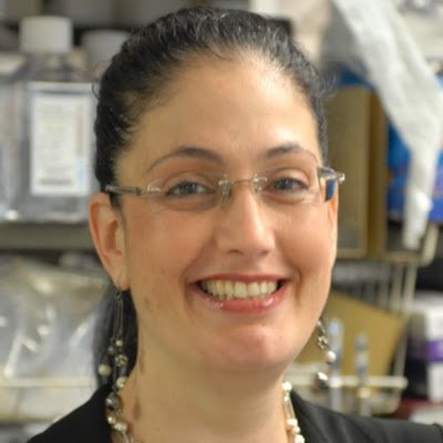 ShoshanaY90079's profile picture. 